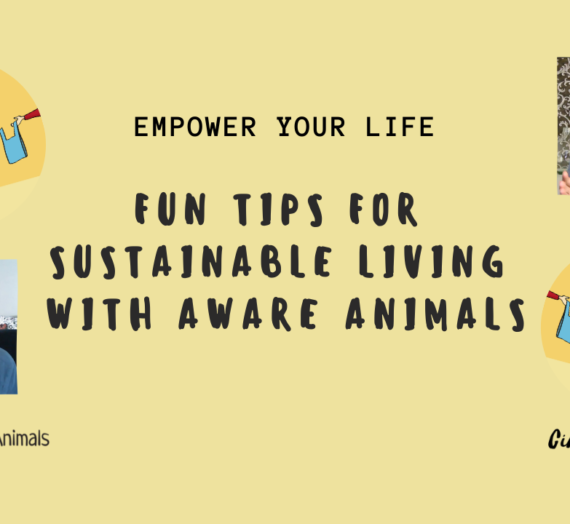 Fun Tips for Sustainable Living with Aware Animals